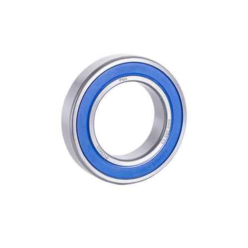 6009-2RS C3 - PMX