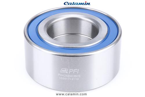  PW42820036CS - PFI