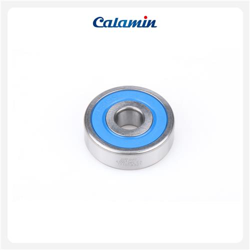  6300-2RS C3 - PFI