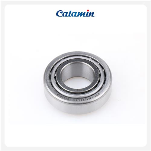  LM12748/10 - PFI